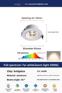 NSWR | Ultra Thin Embedded Full Spectrum LED Downlight Cob Rainbow Anti-Glare Living Room Ceiling Light