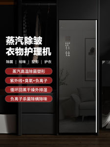 Smart Home Steam Iron Clothes Care Machine Embedded Dryer Sanitizer Fungus Eliminator Heat Pump Wrinkle Removal Wardrobe