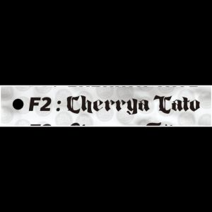 tato temporer request nama