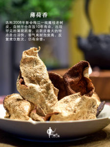 Authentic 2006 Chenxinhu Mint Aroma Old Dried Orange Peel Mei Jiang Circle Branch Old Tree Camphor Guangdong Specialty Tin Can Gift Box