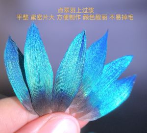 Tian-Tsui DIY Material Peacock Parrot Blue Lens Selected Emerald Sizing over Feather Rare Jewelry Filigree Inlaid