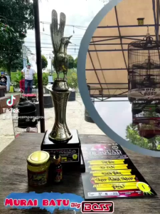 Power Murai Konslet 30ml Vitamin Suplemen Penggacor Burung Supplement Multivitamin Murai