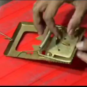 Jepretan Tikus Besi Tebal Jebakan Perangkap Tikus Ampuh Penjepit Tikus Besi Besar Penjerat Tikus