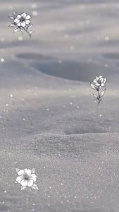 Sách - Thiên Tự Văn (bìa mềm)