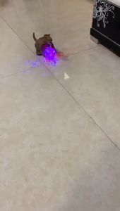 ของเล่นเด็ก ไดโนเสาร์ของเล่น ไดโนเสาร์เดินได้ ไดโนเสาร์บอลไฟ มีเสียงมีไฟ สร้างเสริมพัฒนาการเด็ก ของขวัญวันเกิดของเล่น พร้อมส่ง