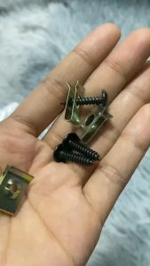 สกรูเกลียวปล่อย ปลายตัด ชุบดำ ยึดเฟรมฮอนด้า HONDA (เทียบประมาณ M4x12 มิล) สีกลาส (กลาสเบียง) 8x1/2