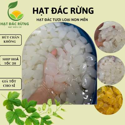 1KG HẠT ĐÁC NON MỀM dẻo dùng rim đường rim trái cây làm topping trà giá rẻ Giao Nhanh HCM