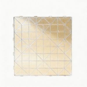 Feiyu | Transparent Bean Plate 104 Studs Large Heat Resistant