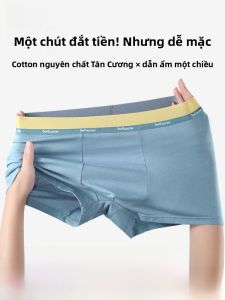 MiiOW | Quần lót nam cotton nguyên chất MiiOW 2025 mùa thu kháng khuẩn thoáng khí quần đùi cạp vừa màu trơn quần lót nam