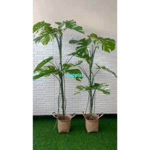 Dekorasi Interior Cafe: Pohon Artificial Monstera Variegata T170 & T190