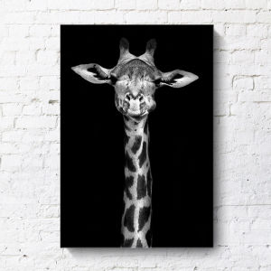 American Black and White Animal Decorative Canvas Artwork
