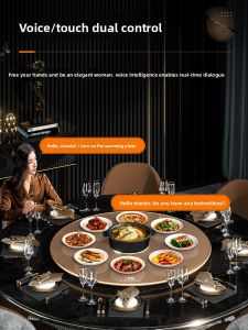 FDLAI | Voice Smart Heated Serving Plate with Rotating Tray