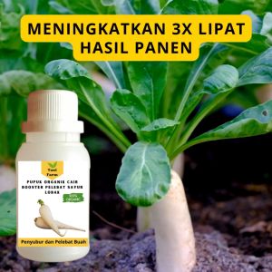 Pupuk Lobak Cepat Berbuah / Pupuk Pelebat Lobak / Pupuk Booster Lobak Cair