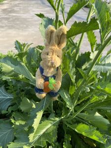 Handmade Spring White Rabbit Bear Figurine Creative Birthday Gift Cute Carrot Rabbit Decoration Finished Product Toy for All Genders