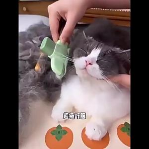 Pet Needle Comb Solid Anti Fracture Removes Tangled and Floating Hair Pet Grooming Tool Cat Dog