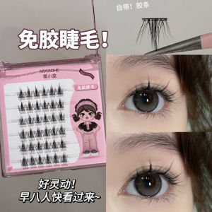 Same Style as School Flower! Glue-Free and Detachable ~ Rabbit Series Sweet Fake Eyelashes Smart Nature Young Adult Photogenic Mom Feeling Daily