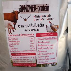 โปรตีนเสริมสำหรับสัตว์ วัวควาย หมูไก่ ผอมไม่ได้น้ำหนัก ราคายกลัง 12 ซอง โปรตีนสัตว์ โปรตีนเสริมสัตว์ - Lazada