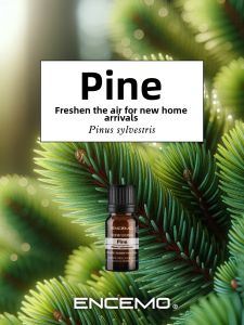 ENCEMO | Single Essence European Pine Essential Oil