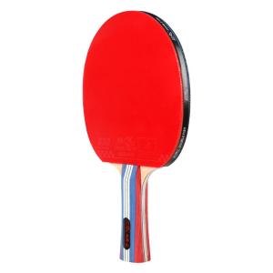 Double Fish | Professional Rubber Ping Pong Rackets High Elastic Star Ball