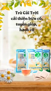 Trà Cây Cải Trời cải thiện u tuyến giáp bứu cổ - 40 Túi Lọc tra dong y viet