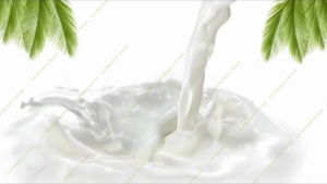 Thùng 200 gói x 16g Đậu Phộng Nước Cốt Dừa Tân Tân Peanuts With Coconut