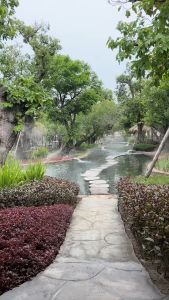 ชุดพ่นหมอก รดน้ำต้นไม้อัจฉริยะ คอนโทรลผ่านมือถือได้ (wifi) + 50W แผงโซล่าเซลล์