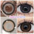 คอนแทคเลนส์ รุ่น Sakura สีเทา/ตาล Gray/Brown มีค่าสายตา (0.00)-(-10.00). 