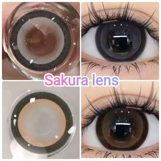 คอนแทคเลนส์ รุ่น Sakura สีเทา/ตาล Gray/Brown มีค่าสายตา (0.00)-(-10.00)