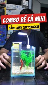 Combo Bể Kính Nuôi Cá Mini 13x10x16cm Kèm Sỏi Rong Trang Trí + Lọc + Đèn