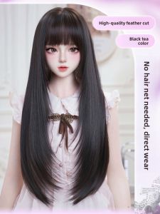 AINIYA | Long and Voluminous Feather Cut Wig