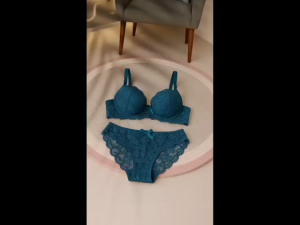 CD Bra BH Set Busa Setelan Celana Dalam Wanita IMPORT