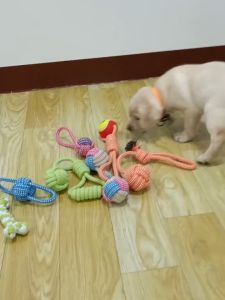 Dây thừng bện với bóng tennis đồ chơi cho chó luyện răng tương tác - Đen Ta pet shop