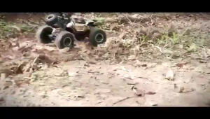 1:18 RC Car Alloy 4WD 2.4G Radio Control Alloy Body 4x4 Monster Truck Crawler Climbing Car 40mhz