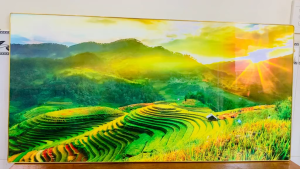[HÌNH THẬT] Tranh treo tường ruộng bậc thang 2 trang trí decor phòng khách kèm đinh
