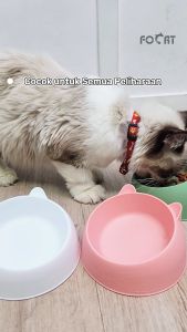 FOCAT Mangkuk Makanan Kucing Anjing M77 Pet Bowl Minimalis Aman Untuk Hewan