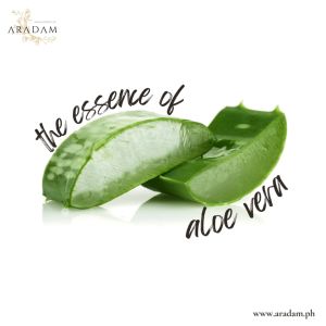 AraDam Aloe Vera Face Mist Spray for Skin Hydration and Refresh in 30mL