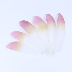 New Style Goose Feather Large Drifting Childrens DIY Feathers Clothing Accessories 10 Pieces per Bag Fresh Outlined Summer Fashion Accessories