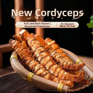 Sour Tomato Flavor Cordyceps Solenopsis Crisp Snack