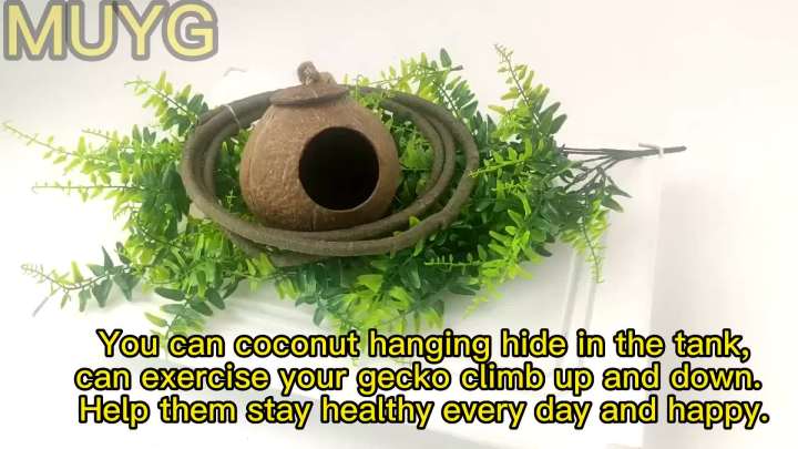 Crested Gecko Coconut Hide Natural Lizard Coco Hut Reptile Hanging Nest Flexible Vine Habitat Decoration Bearded Dragon Terrarium Accessories for Tortoise Chameleon Snake Spider
