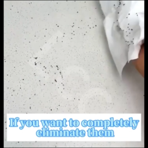 【Japan Tech】Ant Killer Spray Odorless Anti Ant Effective Against Various Types Of Ants And Pests
