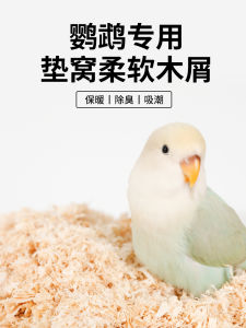 Winter Essential Bird Nest Pine Shavings Shredded Wood Odor Control Parrot Litter Pad for Budgerigar And Other Birds
