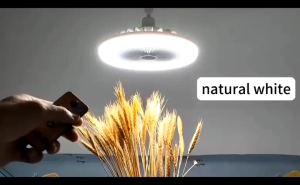 2 in 1 Invisible Multi-functional Light 3 Mode Light Remote Control LED Light Ceiling Screw Light Fan Air Cooler Mini Adjustable Lamp Fan