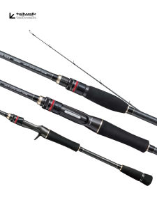 Tailwalk | Rock and Shore Fishing Spinning Rod For Lure