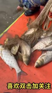 Jaring pemutus tangan tradisional Hermeles buatan tangan lama jaring memancing benang nilon titisan plumbum jaring membaling tangan garisan tayar jaring berputar memancing