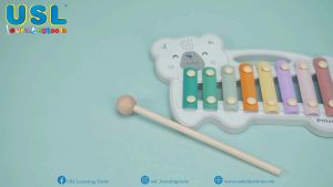 Polar B Xylophone - Early Learning & Educational Toys & Manipulative & Toddler Music Toys