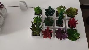 Artificial Succulent Plant Mini Simulation Plants Bonsai Artificial Plants With Pot Garden Decoration