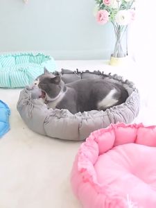 Versatile Dog & Cat Mat: A Comprehensive Guide