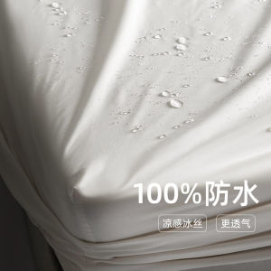 Class a Waterproof Bed Canopy Single Piece Ice Silk Cooling Mat Dream Bedding Mattress Protector Dustproof Bed Sheet Cover