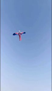 Diều Cần Câu 3D Mini BBKIDS Đồ Chơi Cho Bé Với Họa Tiết Hoạt Hình Dễ Thương Kèm Cần Câu Và Dây Thả 30M