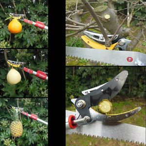 Gunting telescobtarik dahan telescope panjang